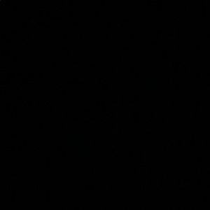 Meet your Posher, Paige